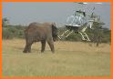 Helicopter Wild Animal Rescue related image