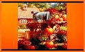 Happy Thanksgiving 2020 Greeting Cards related image