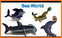 Seaworld Jigsaw Puzzle 3D related image