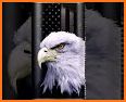 American Flag Eagle Theme related image