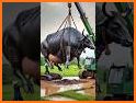 Rich Cow related image