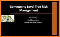 Tree Risk Assessment - Level 1 related image
