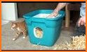 Outdoor Cat House related image