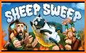 Sheep Sweep related image