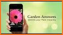 GardenAnswers Plant Identifier related image