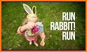 Easter Rabbit run related image