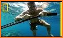 Survival Spearfishing related image