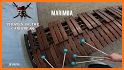 Xylophone - Digital Musical Instrument related image