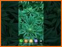 Neon Leafy Weed 3D Live Lock Screen Wallpapers related image