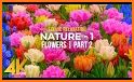 Garden Wallpaper 4K related image