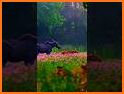 NATURE related image