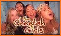 Cheetah Album related image