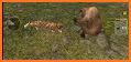 Wild Tiger Sim 3D Games related image