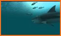 Sharks 3D - Live Wallpaper related image