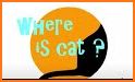 Where is cat? related image