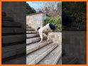 Climb the Stair related image