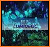 Lumedic related image