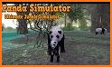 Panda Simulator  3D – Animal Game related image