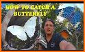 Catching butterflies related image