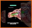 Anatomy & Physiology in a Flash!: Interactive App related image