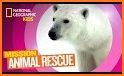 Animal Club: Play to save the Polar Bear related image