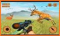 Deer Hunting Wild Animal Shooting Games 2021 related image