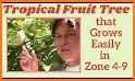 Fruit garden masters related image