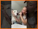Pet Makeup Master related image