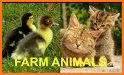 My Farm Animals - Farm Animals For Kids related image