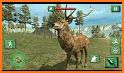 Wild Deer Hunting  2019 Game related image