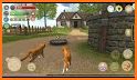 Wild Cat Simulator Cat Games related image