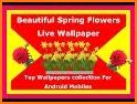 Spring Flowers Live Wallpaper related image