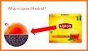 Lipton related image