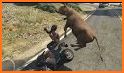 🔥 crazy wild crash : kratts Adventure game related image