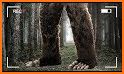 Bigfoot Beast Hunting: Summer Games related image