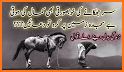 Status Urdu ,Urdu Quotes, Urdu Poetry offline related image