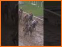 Horse Racing News related image
