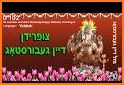 Yiddish24 Jewish News & Music related image