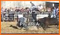 Picaria related image