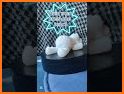 Tortuga Quiz related image