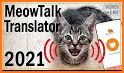 MeowTalk related image