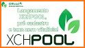 XCHPool related image