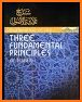 الأصول الثلاثة Three Fundamental Principles(ISLAM) related image