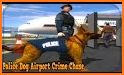 Police Dog Airport Crime Chase related image
