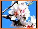 Stanislaus Farm Supply related image