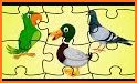 bird puzzle related image