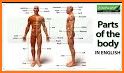 Naming Parts of the Body related image