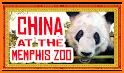The Memphis Zoo related image