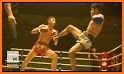 Muay Thai Fighting Origins Pro related image
