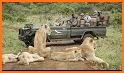 Wild About Kruger Park related image